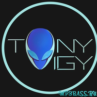 Обложка к песне Overcast (Original Mix) от Tony Igy