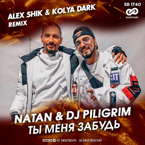 Обложка к песне Ты Меня Забудь (Alex Shik & Kolya Dark Remix) от Natan & DJ Piligrim