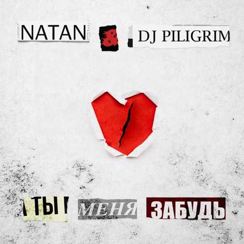 Обложка к песне Ты Меня Забудь (feat. DJ Piligrim) от Natan