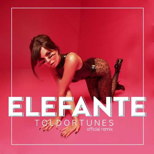 Обложка к песне Elefante (ToldorTunes Remix) от NK
