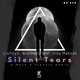 Обложка к песне Silent Tears (A-Mase & Frankie Remix) от Lisitsyn & Wallmers feat. Irina Makosh