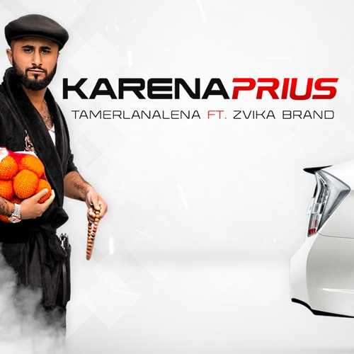 Обложка к песне Karena Prius (feat. Zvika Brand) от TamerlanAlena