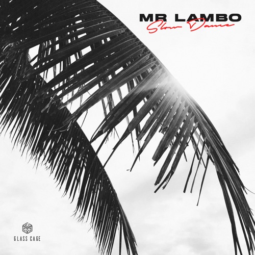 Обложка к песне Slow Dance от Mr Lambo
