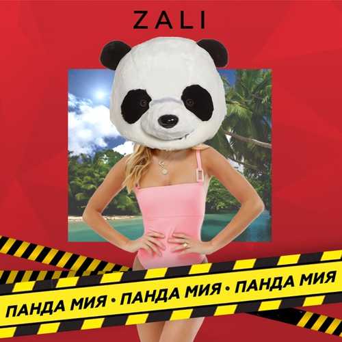 Обложка к песне Панда Мия от MC Zali