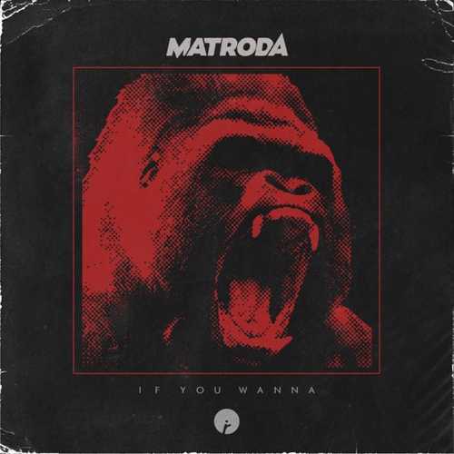 Обложка к песне If You Wanna (Original Mix) от Matroda