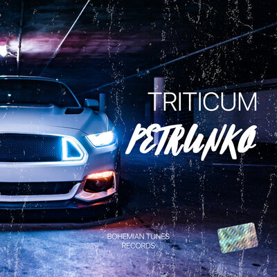 Обложка к песне Petrunko от Triticum