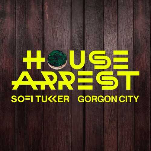 Обложка к песне House Arrest (feat. Gorgon City) от Sofi Tukker