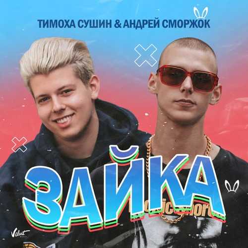 Обложка к песне Зайка (feat. Андрей Сморжок) от Тимоха Сушин