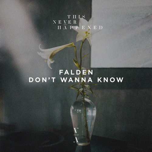 Обложка к песне Don't Wanna Know (Original Mix) от Falden