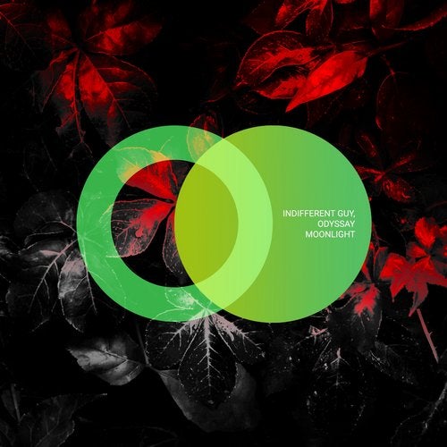 Обложка к песне Moonlight (Original Mix) от Indifferent Guy & Odyssay