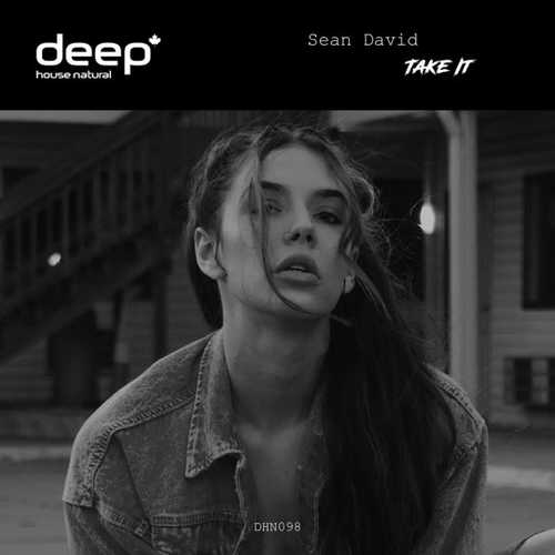 Обложка к песне Take It (Original Mix) от Sean David