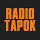 Обложка к песне Bismarck (Sabaton) от Radio Tapok