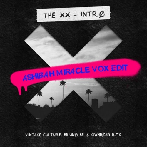 Обложка к песне Intro Rework (Ashibah Miracle Vox Edit) от Vintage Culture & Bruno Be feat. Ownboss