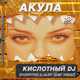 Обложка к песне Кислотный DJ (Dobrynin & Alex Shik Remix) от Акула