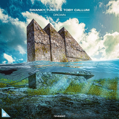 Обложка к песне Drown (feat. Toby Callum) от Swanky Tunes