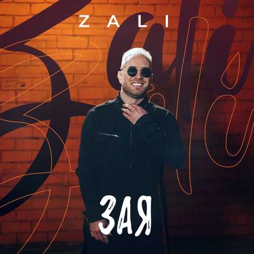 Обложка к песне Зая от MC Zali