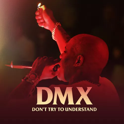 Обложка к песне Party Up (Up In Here) от DMX
