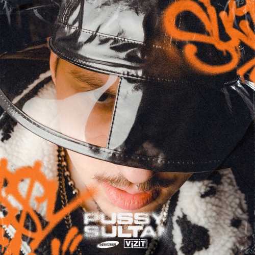 Обложка к песне Pussy Sultan (feat. Vizit) от Sqwoz Bab