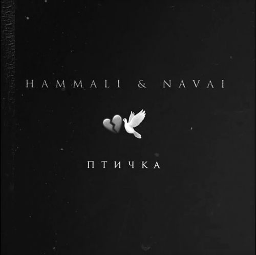 Обложка к песне Птичка (Sergey Arrow Remix) от HammAli & Navai