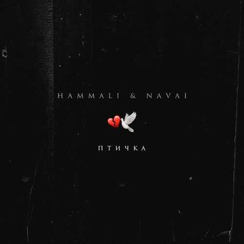 Обложка к песне Птичка (feat. Navai) от HammAli