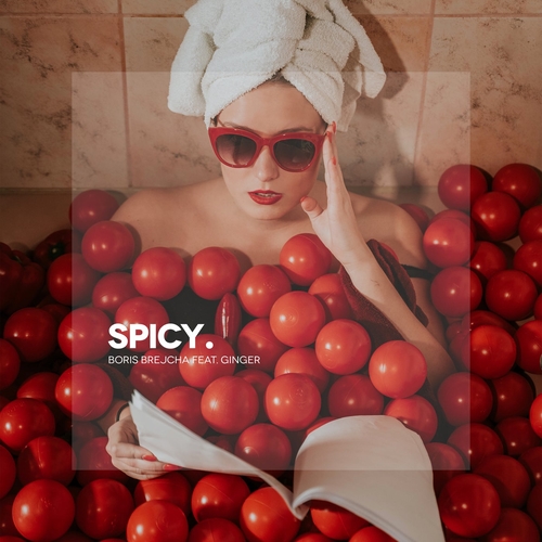 Обложка к песне Spicy (Original Mix) от Boris Brejcha & Ginger