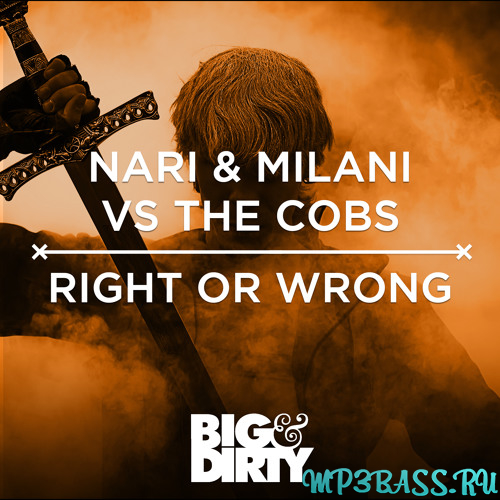 Обложка к песне Right Or Wrong (Original Mix) от Nari & Milani vs The Cobs