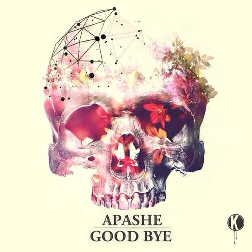 Обложка к песне Good Bye (Instrumental Mix) от Apashe