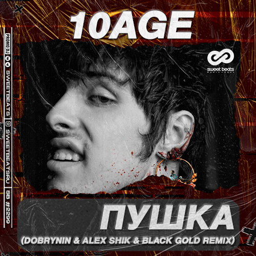 Обложка к песне Пушка (Dobrynin & Alex Shik & Black Gold Remix) от 10AGE