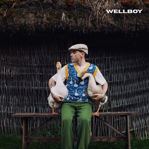 Обложка к песне Гуси (Bozz Nakoz Remix) от Wellboy