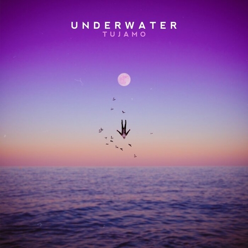 Обложка к песне Underwater (Radio Edit) от Tujamo
