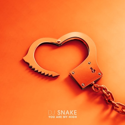 Обложка к песне You Are My High от DJ Snake