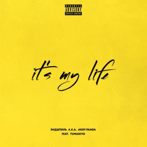 Обложка к песне It's My Life (feat. TumaniYO) от Эндшпиль