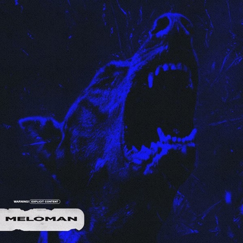 Обложка к песне Meloman (feat. Dewensoon) от Бодя Мир642