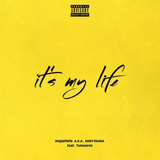 Обложка к песне It's My Life (feat. TumaniYO) от Эндшпиль