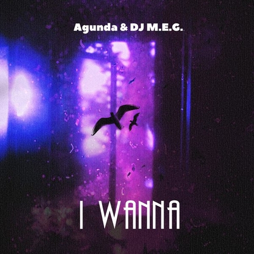 Обложка к песне I Wanna (feat. DJ M.E.G.) от Agunda