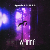 Обложка к песне I Wanna (feat. DJ M.E.G.) от Agunda