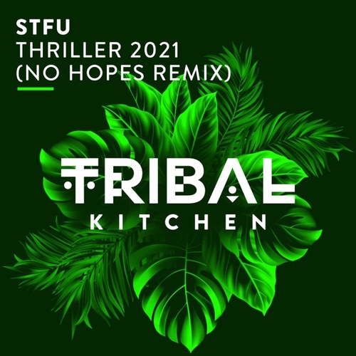Обложка к песне Thriller 2021 (No Hopes Remix) от Stfu
