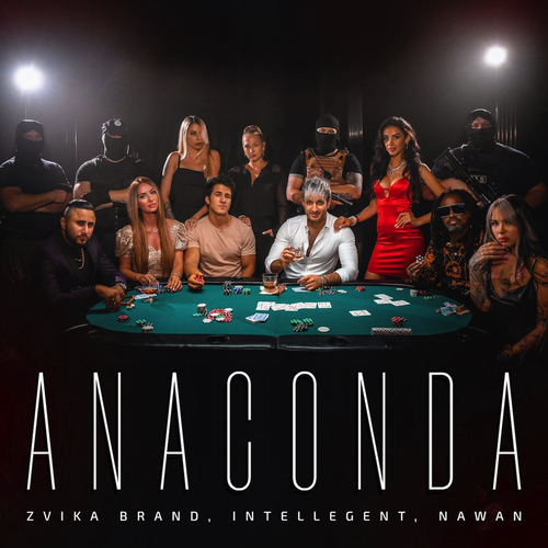 Обложка к песне Anaconda (feat. INtellegent & Nawan) от Zvika Brand