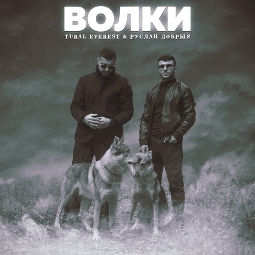 Обложка к песне Волки (feat. Tural Everest) от Руслан Добрый