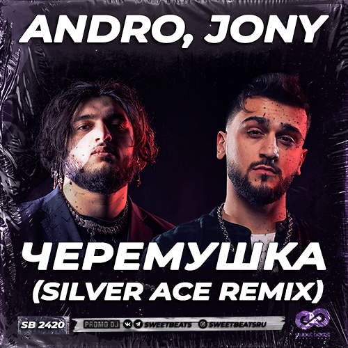 Обложка к песне Черемушка (Silver Ace Remix) от Andro & Jony