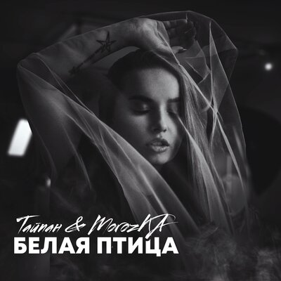 Обложка к песне Белая Птица (faet. MorozKA) от Тайпан