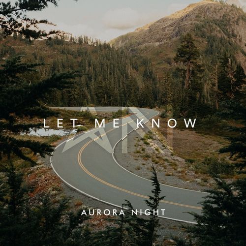 Обложка к песне Let Me Know от Aurora Night