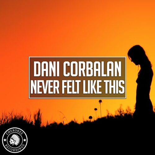 Обложка к песне Never Felt Like This от Dani Corbalan