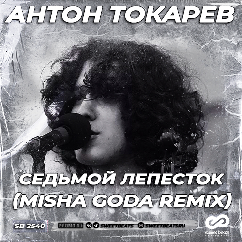Обложка к песне Седьмой Лепесток (Misha Goda Remix) от Антон Токарев