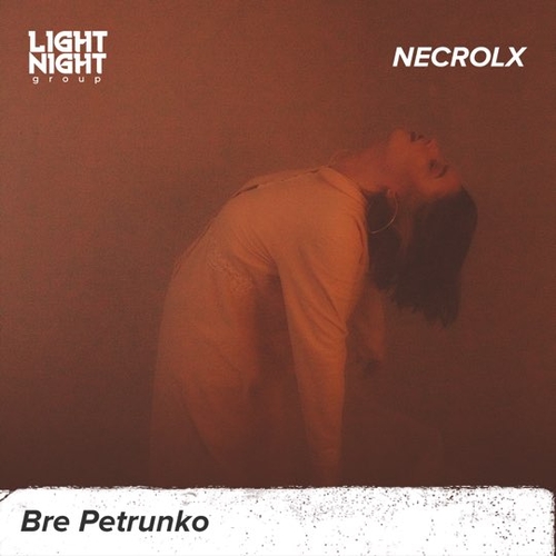 Обложка к песне Bre Petrunko от Necrolx