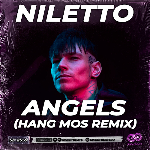 Обложка к песне Angels (Hang Mos Remix) от Niletto