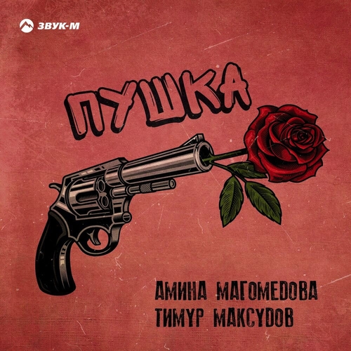 Обложка к песне Пушка (feat. Тимур Максудов) от Амина Магомедова