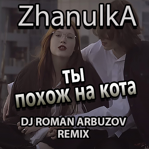 Обложка к песне Ты Похож На Кота (DJ Roman Arbuzov Remix) от Zhanulka
