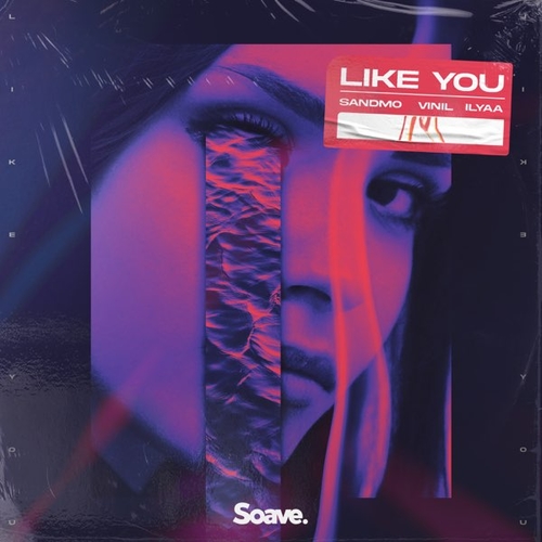 Обложка к песне Like You (feat. Vinil & Ilyaa) от Sandmo