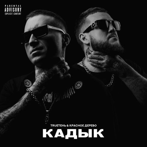 Обложка к песне Кадык (feat. Красное Дерево) от TRUEтень